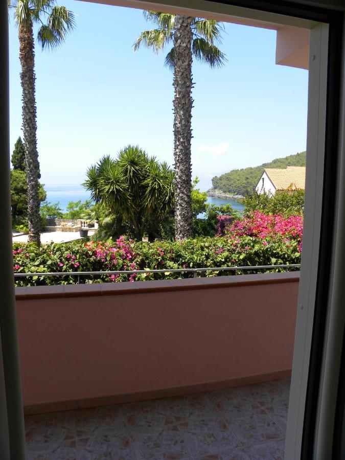 Comfortable Apartment In Maratea With Sea View 95 M² + Parking Exteriér fotografie